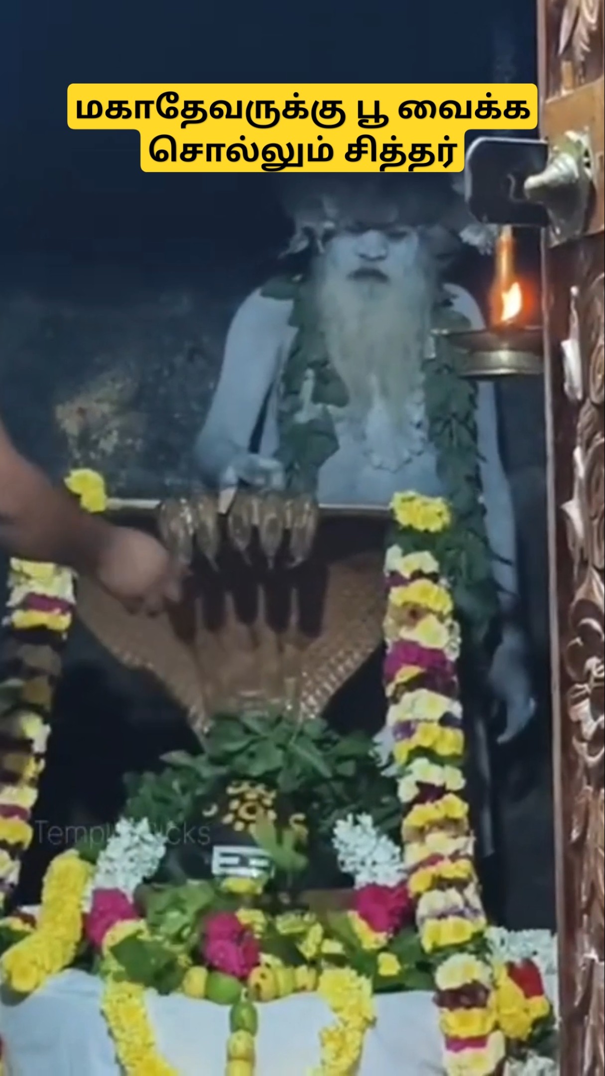 94-வது பிறந்தநாள் காணும் சித்தர் l மகாதேவன் அருள் பெற்ற மகானந்த சித்தர் l மகாதேவமலை